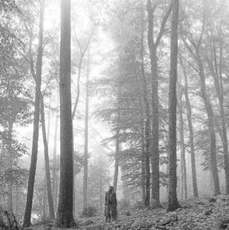 Taylor Swift - CD FOLKLORE