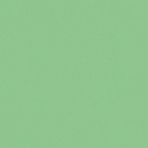 Sklenený panel 60/60 Mono Mint