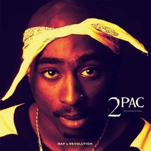 Vinyl Tupac - Instrumentals
