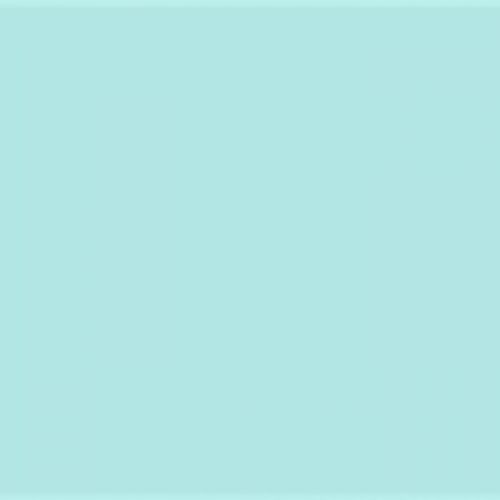 Sklenený panel 60/60 Mono Frost