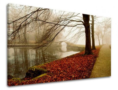 Obraz na stenu STROMY ST031E11