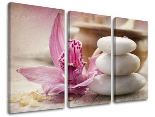 Obraz na stenu 3 dielny FENG SHUI FS017E30