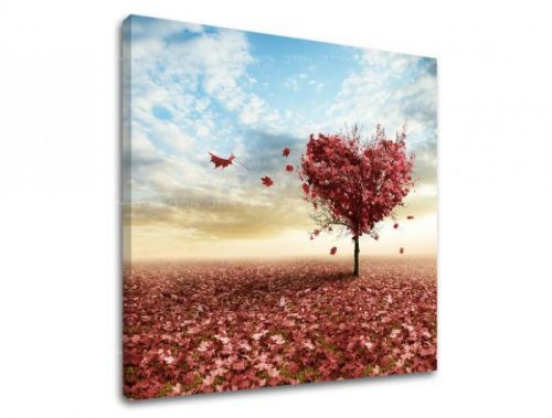 Obraz na stenu STROMY ST013E12