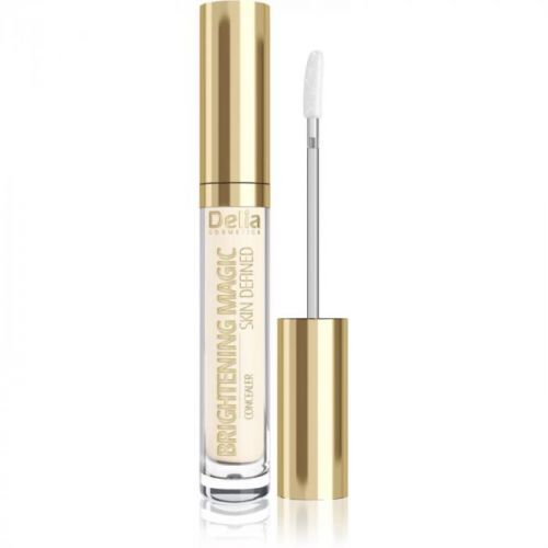 Delia Cosmetics Brightening Magic Skin Defined rozjasňujúci korektor odtieň 06 Nude 2,5 ml