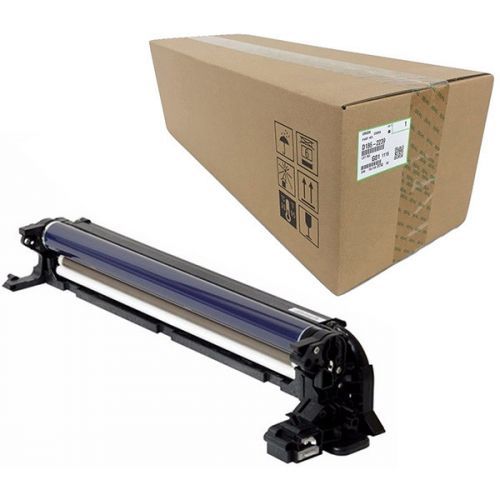 RICOH D1862239 - originálny